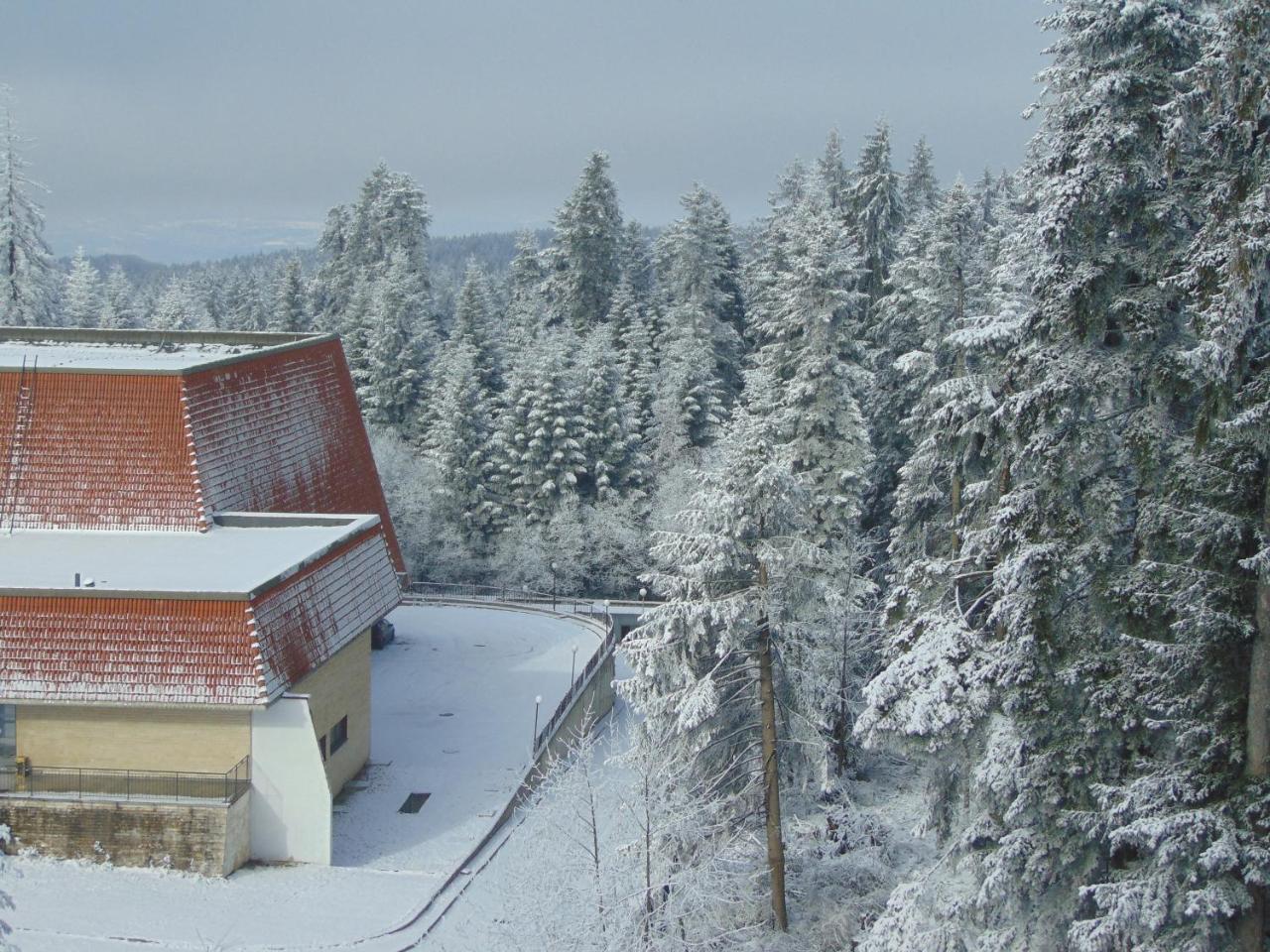 Ski Apartment Boyika Iglika 2 Borovets Buitenkant foto